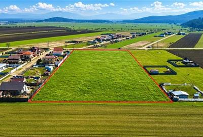 Teren Construcții intravilan de 700 mp, în Cristian