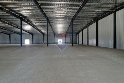 Spațiu industrial, de 18,382 mp, în Afumați