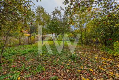 Casă individuală | D+P+1E | Teren 561 mp | Bartolomeu - Brașov - 4