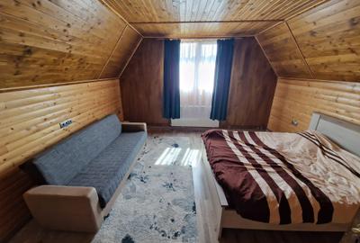 Cabana noua la Rasca cu teren de 6000 mp - 10