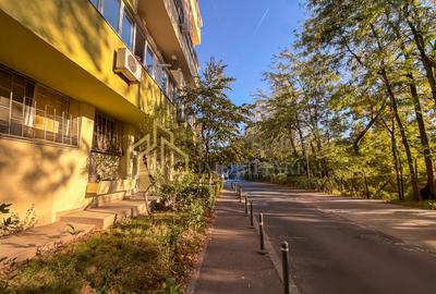 2 CAMERE PARTER INALT - RENOVAT MOBILAT SI UTILAT - VEDERE PARCUL CIRCULUI - 15