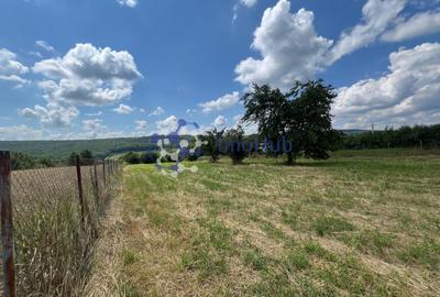 Teren de vânzare 2.531 mp Centrul satului Poieni, Priveliste spre padure - 3