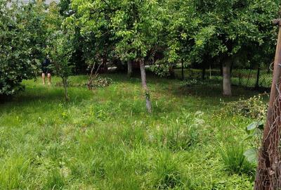 CASĂ DE VÂNZARE 5 CAMERE ÎN OȚELU-ROȘU, \JUD. CS - 23