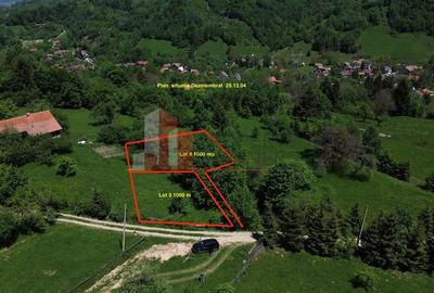 Loturi de teren 1.000 mp | Poarta – Bran | Vedere panoramică către Munții Bucegi - 4