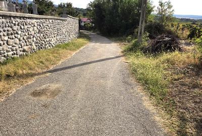 Teren intravilan de vanzare in Turcinesti, sat Horezu - 3
