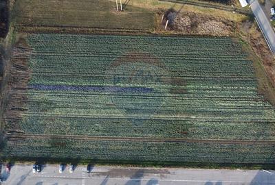 Teren industrial 15.938 MP langa HENKEL cu utlilitati la limita - 11