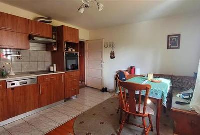 Casa individuala garaj pivnita curte superba Talmaciu - 16