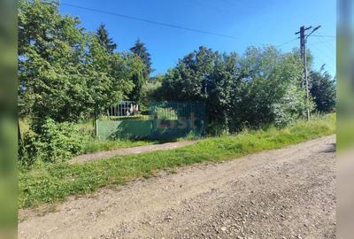 Teren 7200 mp, casa veche, apa, curent 35 km de Cluj Napoca, Topa Mica - 4
