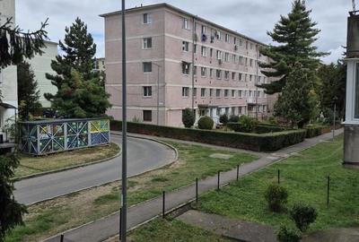 Apartament 2 camere, etaj 1, centrală proprie, str. Vasile Goldiș, Sfâ - 9
