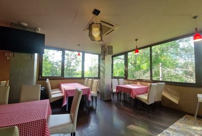 Oportunitate de investiție restaurant în Parcului Tineretului - 5