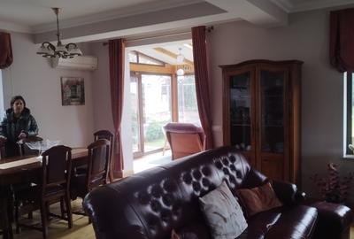 Proprietate deosebită Făget - 4
