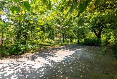 Casă/Vila tip conac, cu anexe si livada de vânzare Valenii de Munte - 26