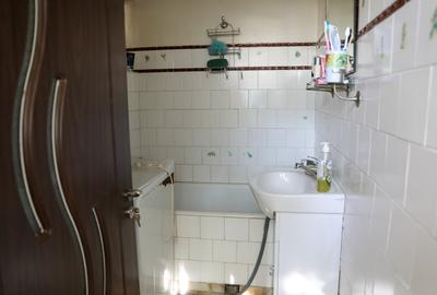 Casă cu curte proprie, zona Giurgiului - Zetarilor - Str. Cheia nr. 17 - 10