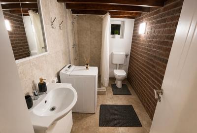 Vand 2 studio/zona Bogdanesti - 7