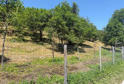 Teren Valea Doftanei, Tesila, utilitati la strada, padure in spate - 1