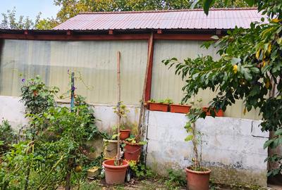 TEREN INTRAVILAN CU CASĂ ȘI ANEXE | 1.010 MP | IONĂȘENI, VÂRFU CÂMPULUI - 9
