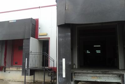 Zona Industriala , hala frigorifica 485 mp., curte, 2 rampe - 7