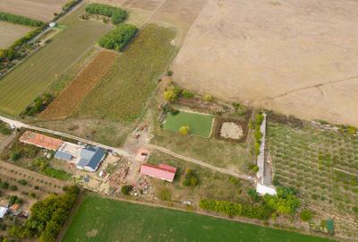 Casă cu teren 13 418 mp intravilan - 28