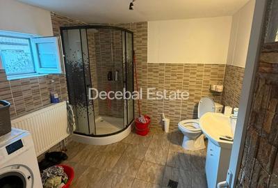 Casă renovată complet  105 mp utili  Teren 400 mp  Berceni - 18