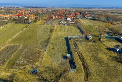 Teren Intravilan 5.000 mp Prejmer -  Strada Preot Ioan Popescu - 4