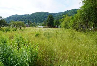 Teren 2785 mp, Central – Lângă Grădina Morii - 14