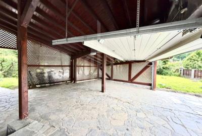Casă premium de închiriat-Cisnadioara - 6