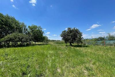 CASA LA TARA | 6770MP TEREN | JOSANI | BIHOR | - 15