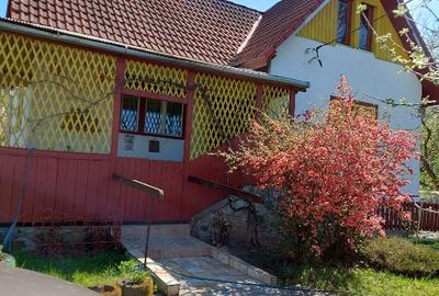 Casa in Zimbor, judetul Salaj - 1