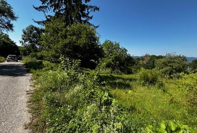 Teren doua loturi 3100 mp. - 2800 mp. Dăesti - Valcea - 14