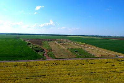 Teren intravilan PUZ zona Frumusani - aproape de Bucuresti si A0. Natura.Liniste - 7