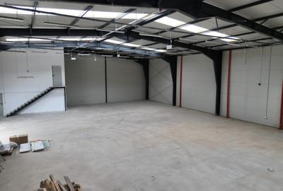 Showroom + hale depozitare centura Nord Chitila - 5