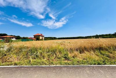TEREN -INTRAVILLAN-SUPERB-SNAGOV-PADURE-UTILITATI - 7