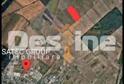 Teren agricol extravilan de 12500 mp, în Mogoșoaia