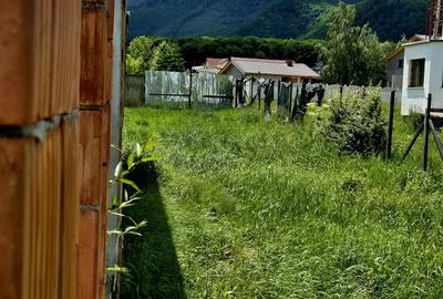 Oportunitate investitie camin seniori/pensiune/retreat Sambata de Sus - 8