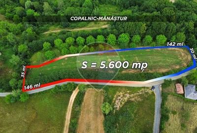 Teren Construcții intravilan de 5600 mp, în Copalnic-Mănăștur