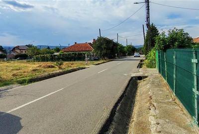 DE INCHIRIAT - TEREN 1233 MP, GORANU - DN7 - 10