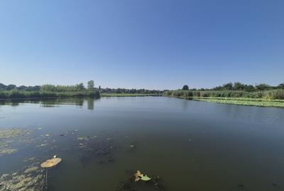 Izvorani - Teren cu deschidere generoasă la lacul Snagov - 2