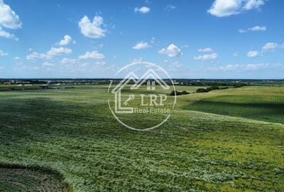 Teren Intravilan 9.918 mp Creața Dascălu, T66– Parcelabil - 12