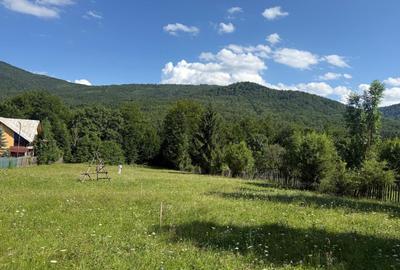 Teren Construcții intravilan de 1662 mp, în Trăisteni