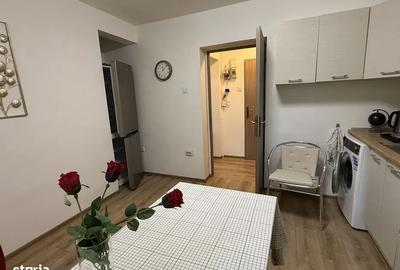 Apartament 2 camere Doamna Ghica - Parcul Tei - Strada Brasoveni 31 - Centrala - 2