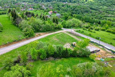 Teren intravilan 1273 mp in Zarnesti-Tohanita la 50 m de drumul asfaltat - 5