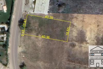 Teren Construcții intravilan de 750 mp, în Săldăbagiu de Munte
