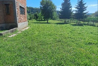 Aninoasa-Valea Silistii, vila de vanzare, p+1, util 140 mp, teren 2850 mp - 3