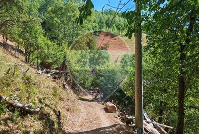 Cabană de vânzare în satul Plopi, Valea Ierii, județul Cluj - 17