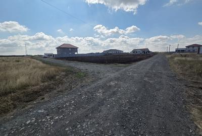 🏡 Teren de vânzare în Remetea Mare – 609 mp | 35.000 € - 6