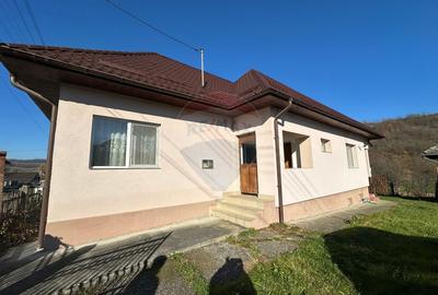 Benesat - DE VANZARE- GOSPODARIE la cheie - 4