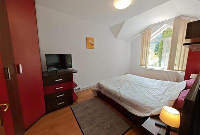 Vanzare casa imbratisata de natura in zona Bunloc, teren 445 mp - 15