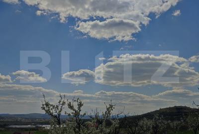 Teren agricol intravilan de 3300 mp, în Năsăud