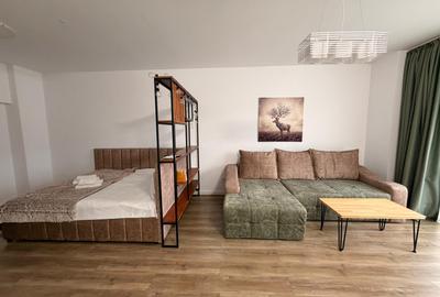 Studio - Green Future Sinaia  - inchiriat cu 550 euro/luna - 3