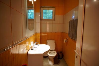 Casa de Inchiriat P+1, ideal firma/birouri - 11